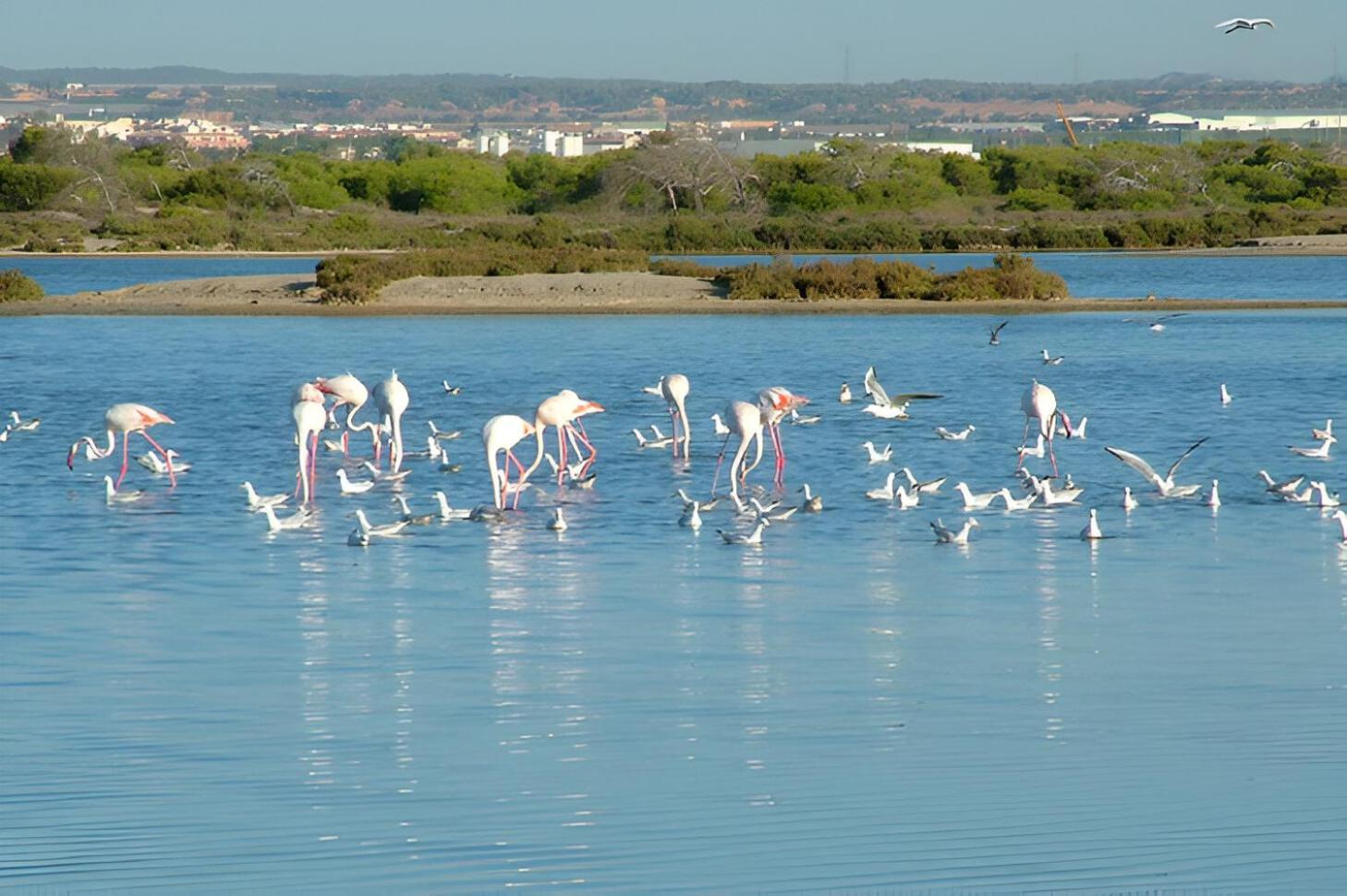 Cercana Al Mar Accommodatie bij particulieren San Pedro del Pinatar