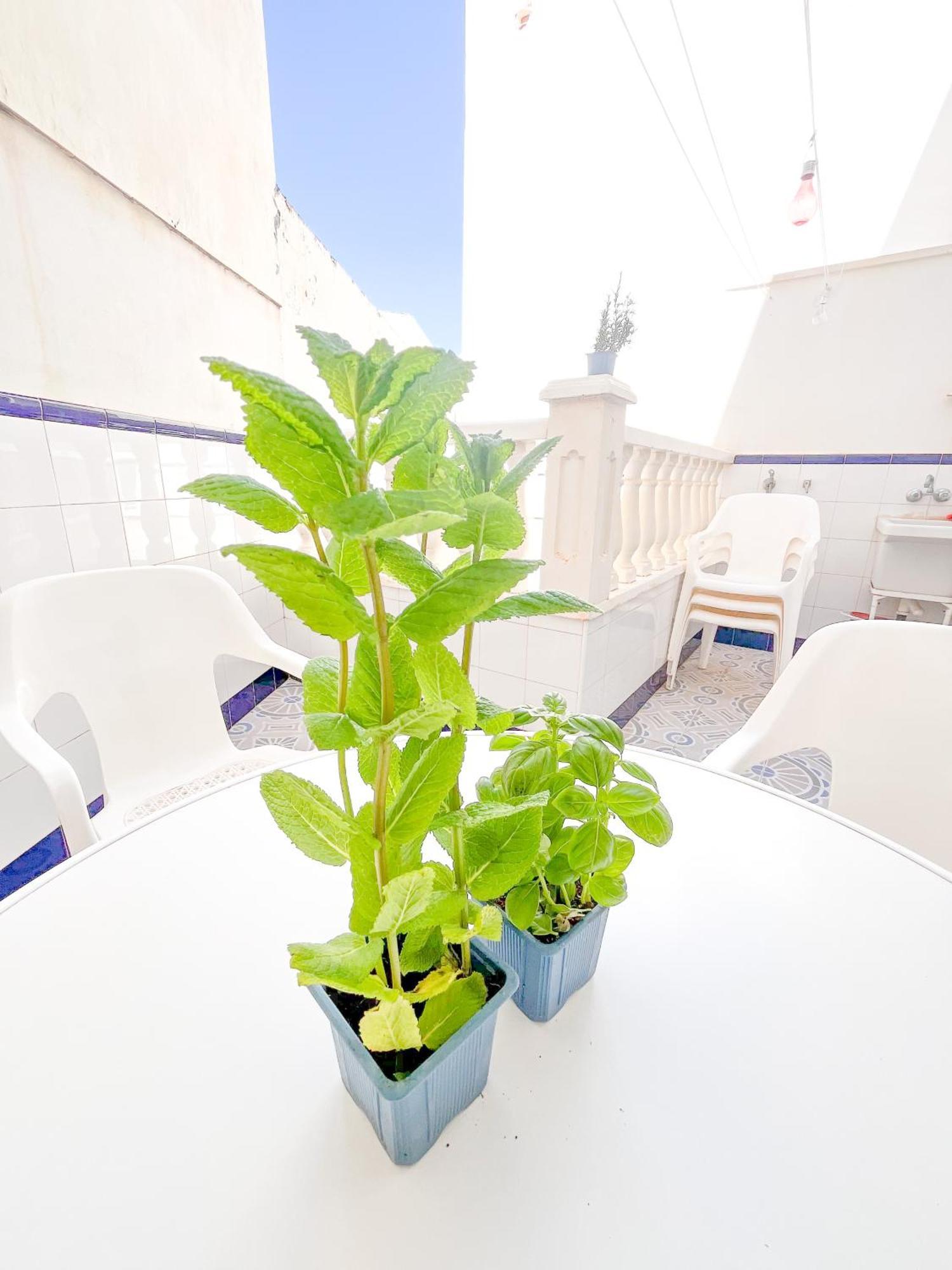 Accommodatie bij particulieren Cercana Al Mar